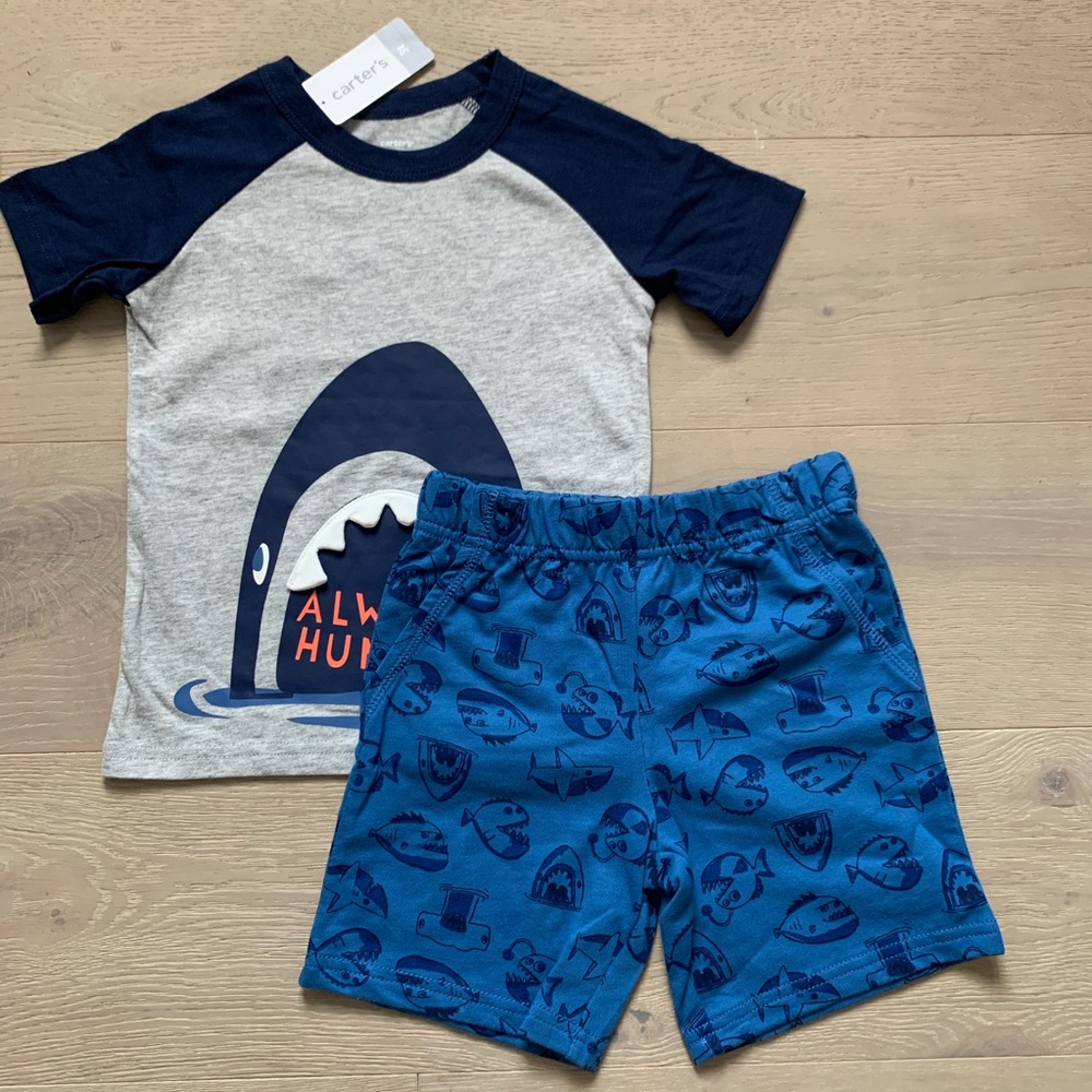 Carter’s Toddler Playwear Set (3T)